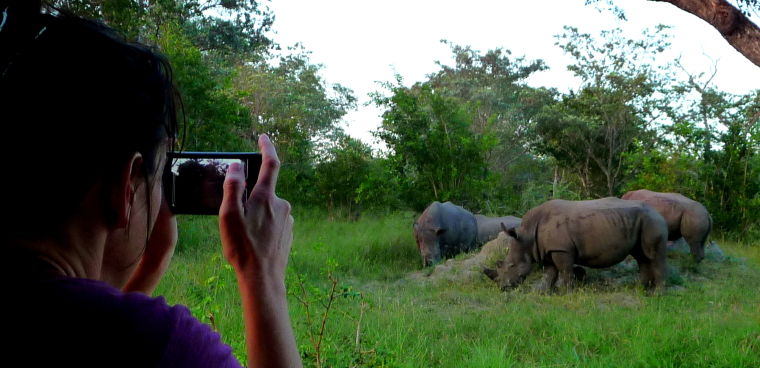 Africa